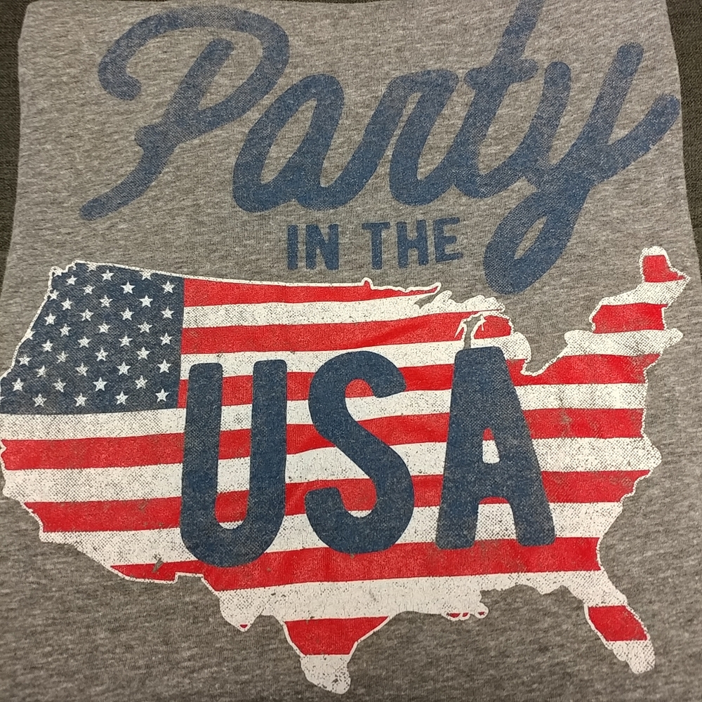 Americana Party in the USA Men's XL T-Shirt Gray Patriotic Short Sleeve Tee